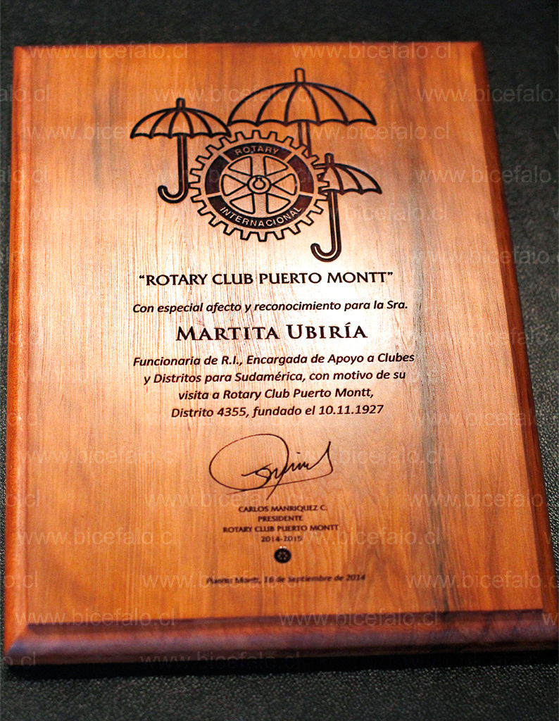 galvano Madera Alerce